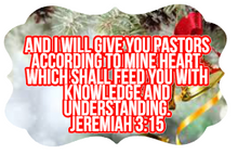 Load image into Gallery viewer, Christmas Benelux  Ornaments